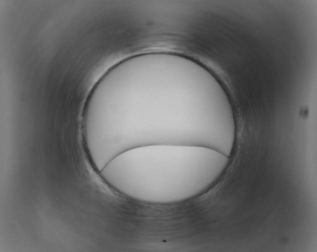 X0000111511423200907281304