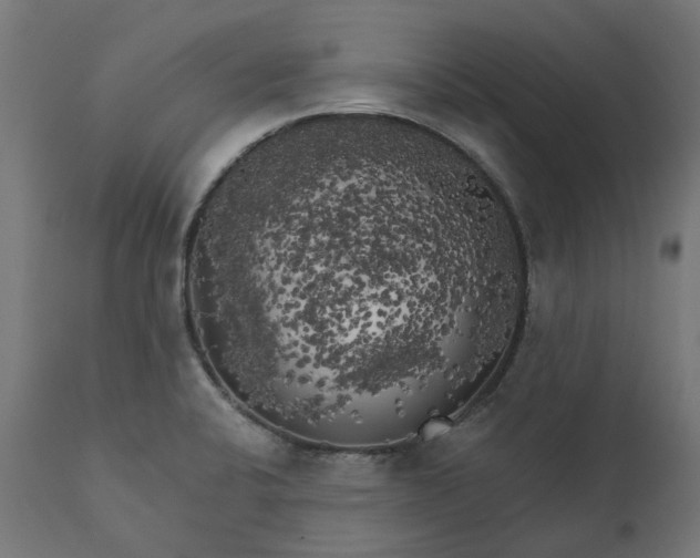 X0000111511424200907281304