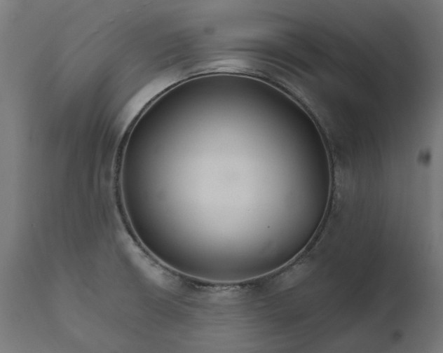 X0000111511426200907281304