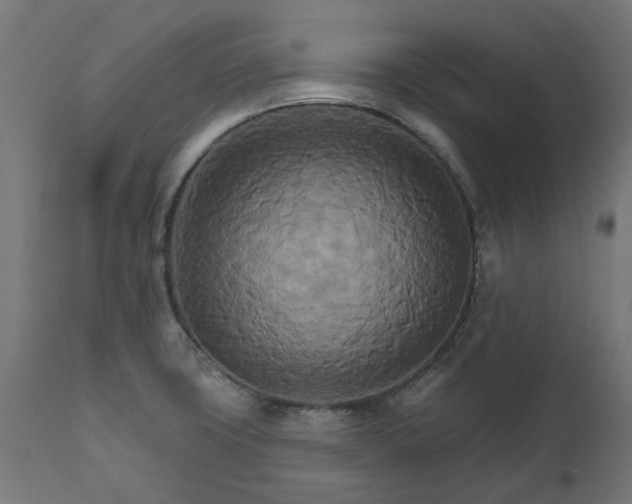 X0000111511427200907281304