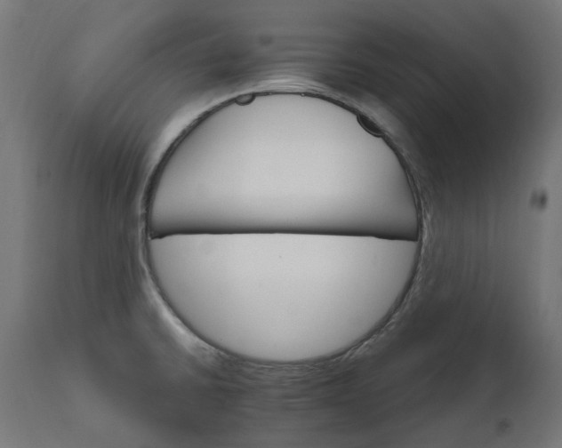 X0000111511430200907281304