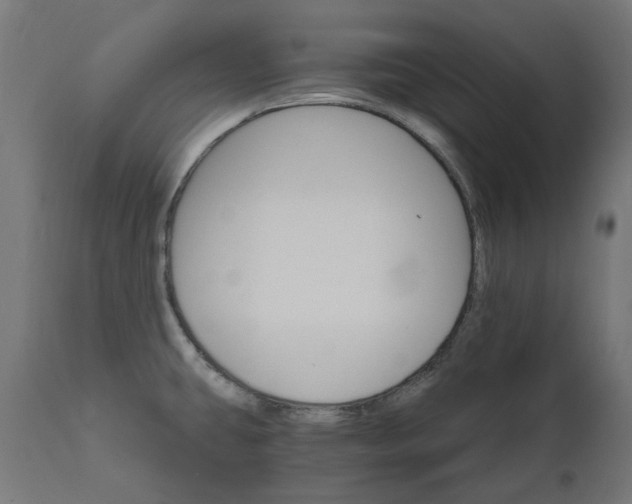 X0000111511431200907281304