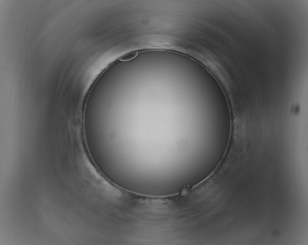 X0000111511432200907281304