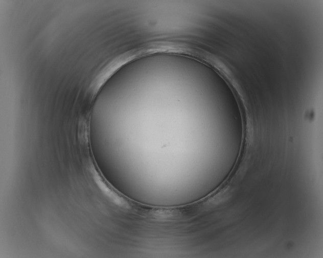 X0000111511433200907281304