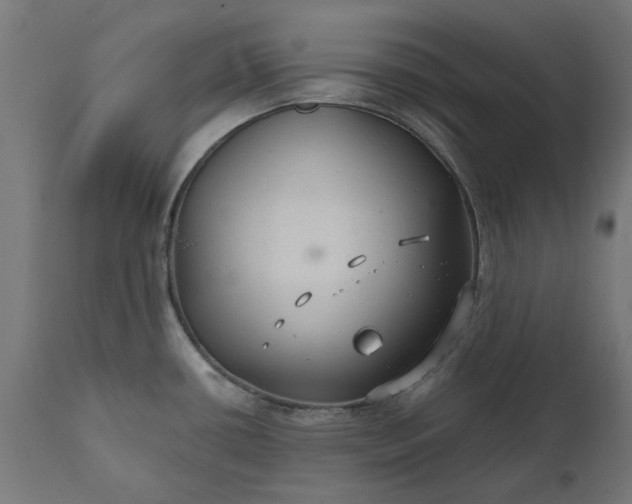 X0000111511434200907281304