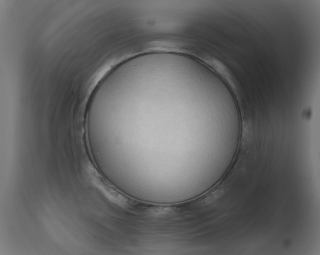 X0000111511435200907281304