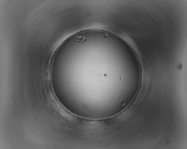 X0000111511436200907281304