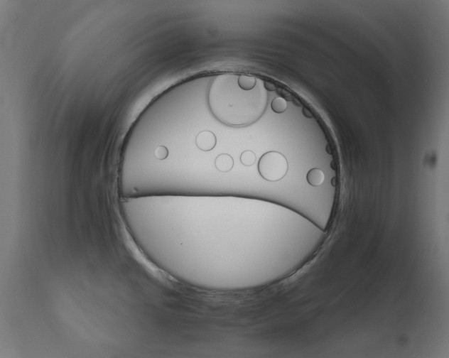 X0000111511437200907281304