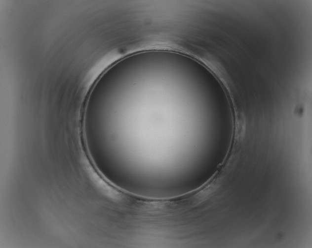 X0000111511438200907281304