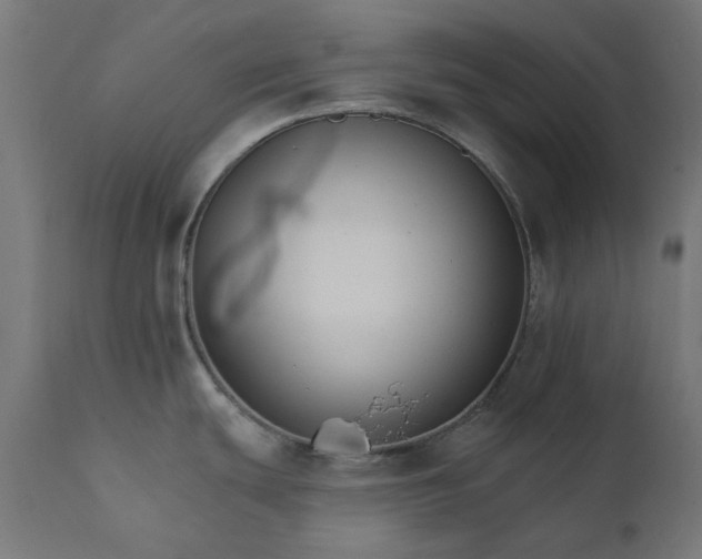 X0000111511439200907281304