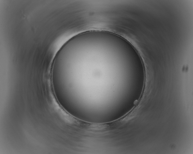 X0000111511440200907281304