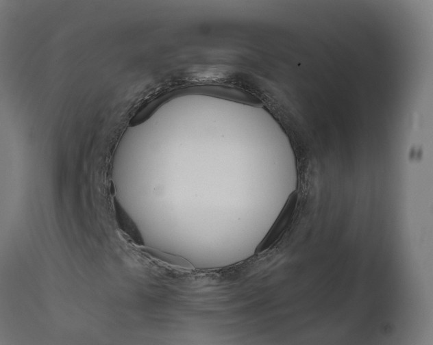 X0000111511441200907281304