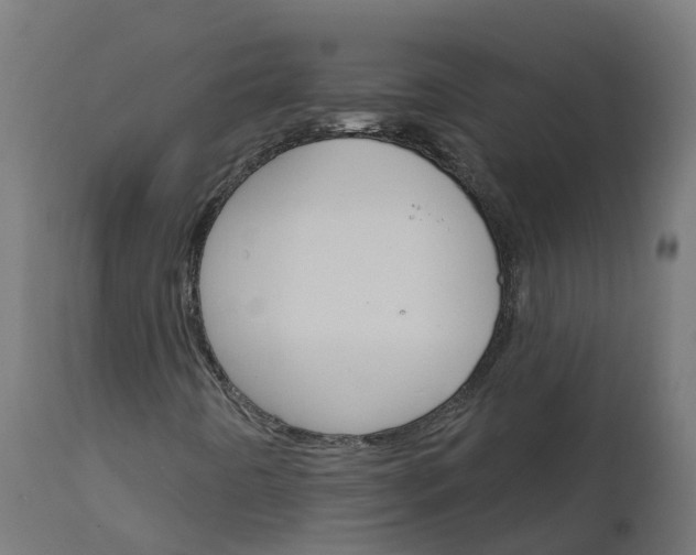 X0000111511442200907281304