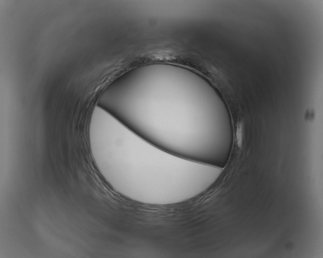 X0000111511444200907281304