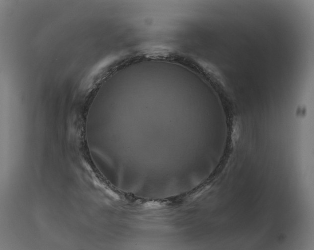 X0000111511445200907281304