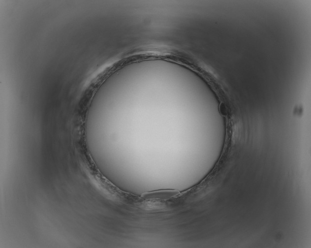 X0000111511448200907281304
