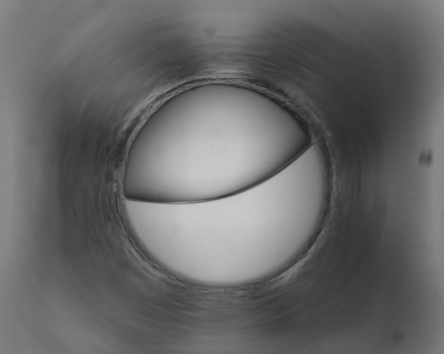 X0000111511449200907281304