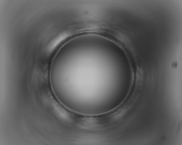 X0000111511450200907281304
