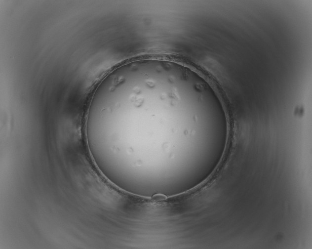 X0000111511451200907281303