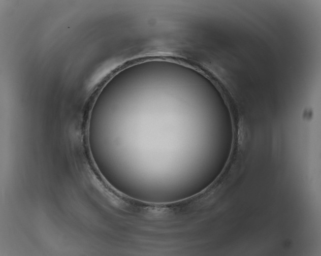 X0000111511452200907281303