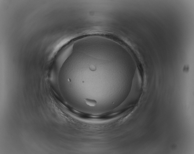 X0000111511453200907281303