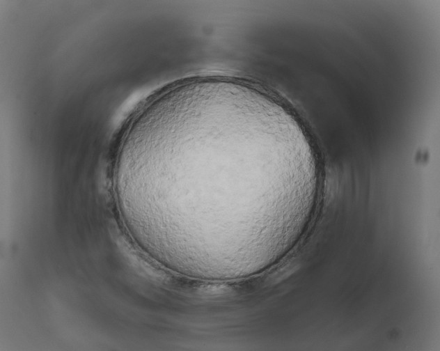 X0000111511454200907281303