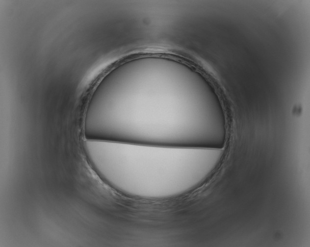 X0000111511456200907281303