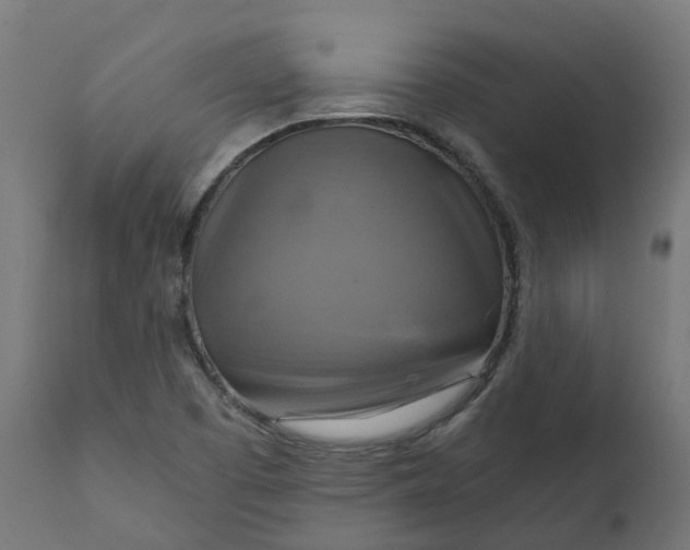 X0000111511457200907281303
