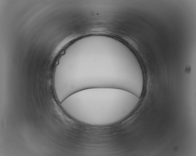 X0000111511458200907281303