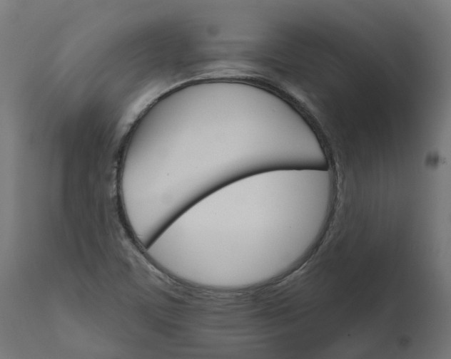X0000111511459200907281303