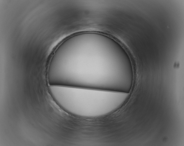 X0000111511460200907281303