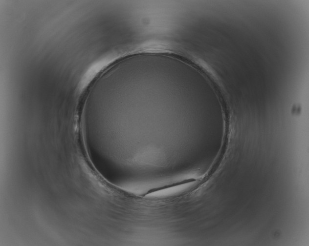 X0000111511461200907281303