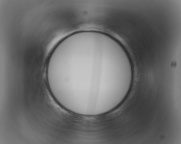 X0000111511462200907281303