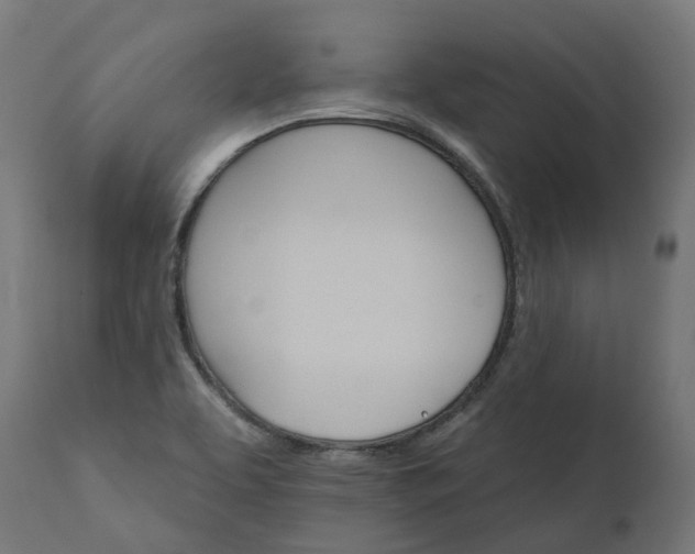 X0000111511463200907281303