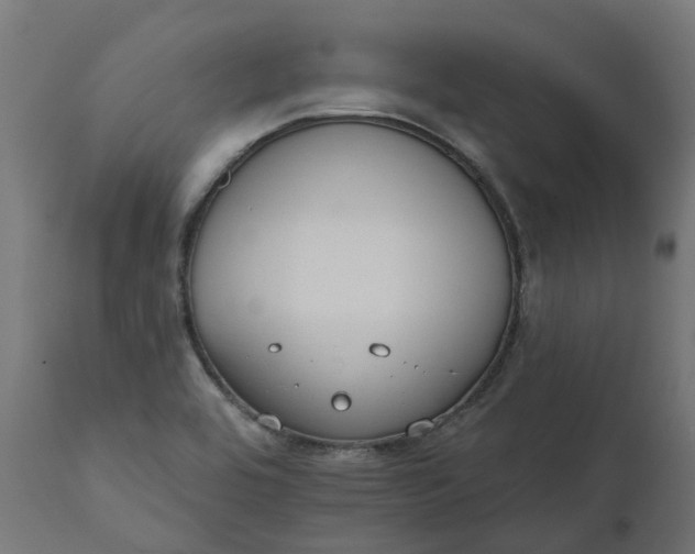 X0000111511464200907281303