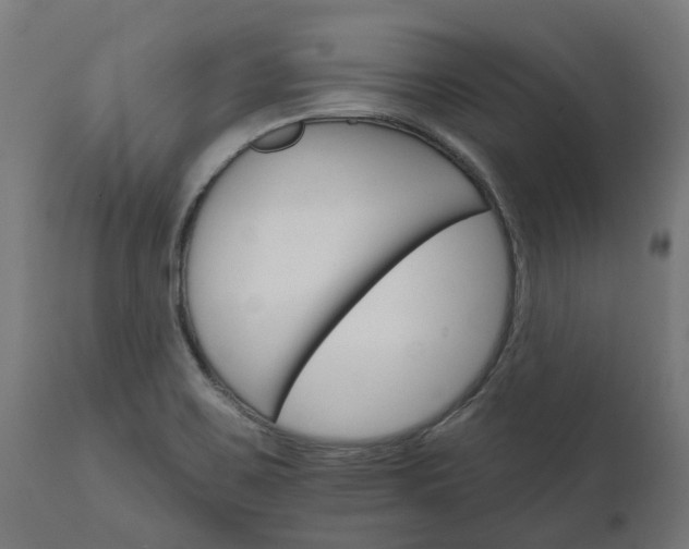X0000111511467200907281303