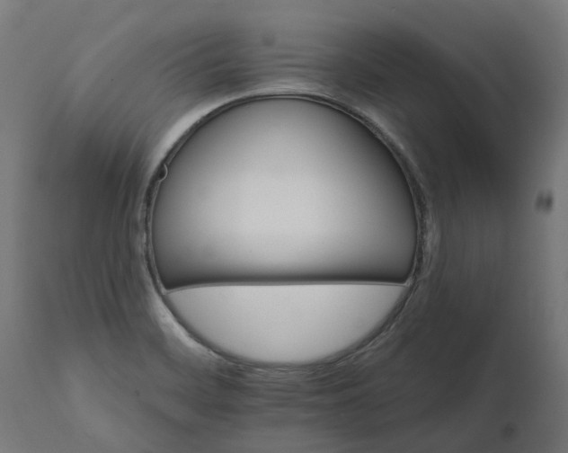 X0000111511468200907281303