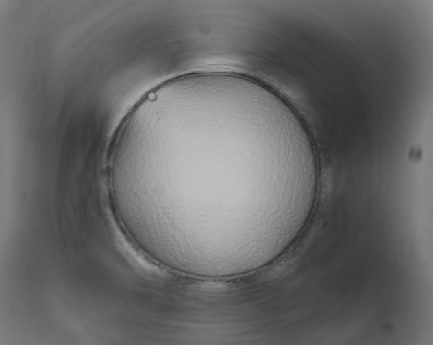 X0000111511470200907281303