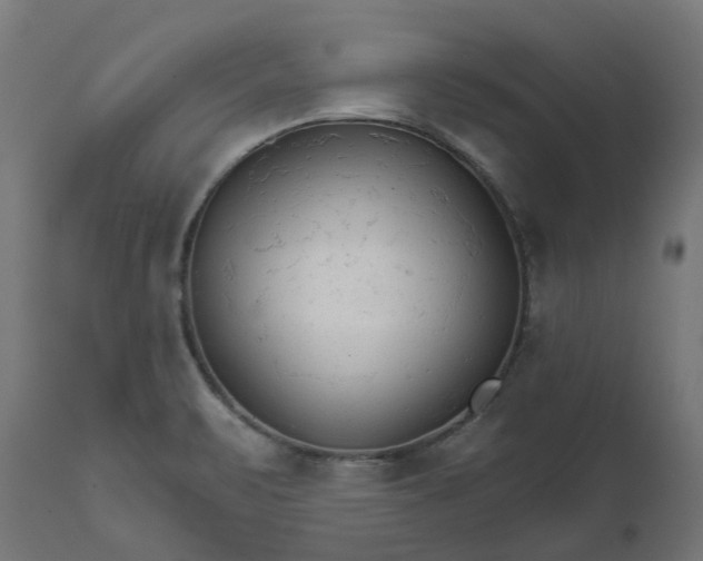 X0000111511471200907281303