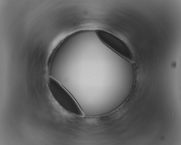 X0000111511472200907281303
