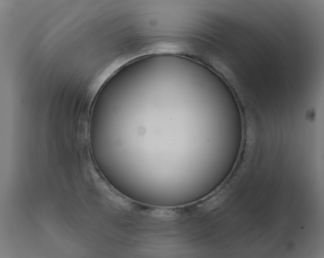 X0000111511473200907281303