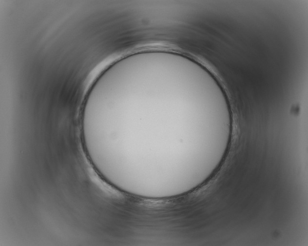 X0000111511474200907281303
