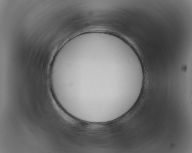 X0000111511475200907281303