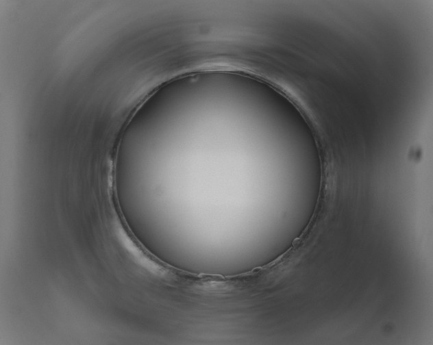 X0000111511476200907281303