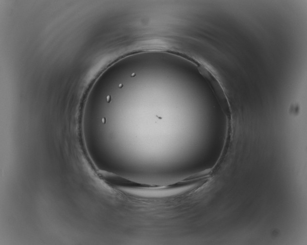 X0000111511477200907281303