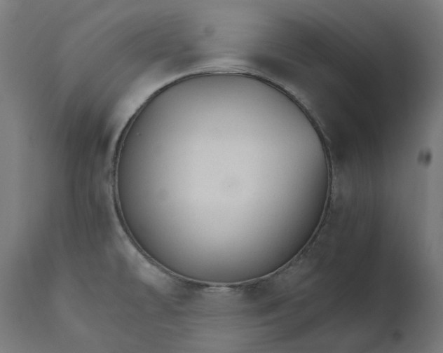 X0000111511478200907281303