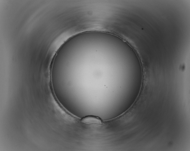 X0000111511479200907281303