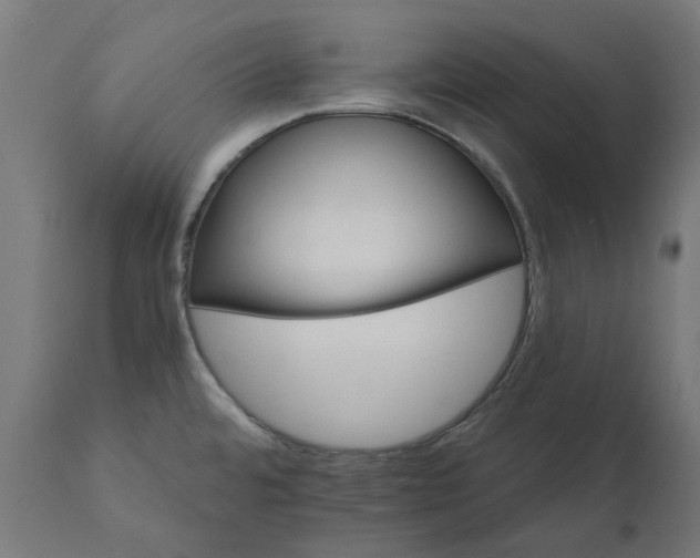 X0000111511480200907281303