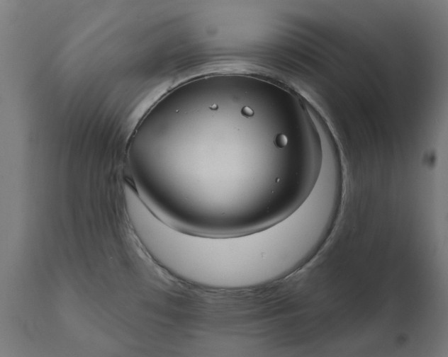 X0000111511481200907281303