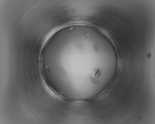 X0000111511482200907281303